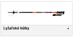 lyžařské hůlky